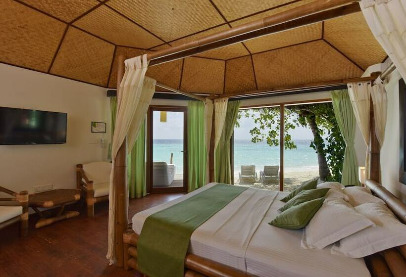 بانگلوی استاندارد, Safari Island