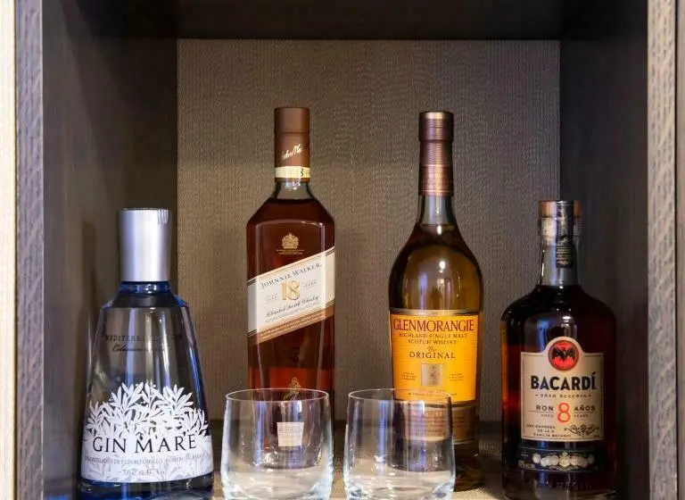 バルコニー付スイート, Grand Brizo Buenos Aires