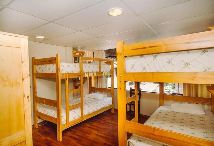 ルームシェアのワンベッド, Nativus Hostel Machu Picchu