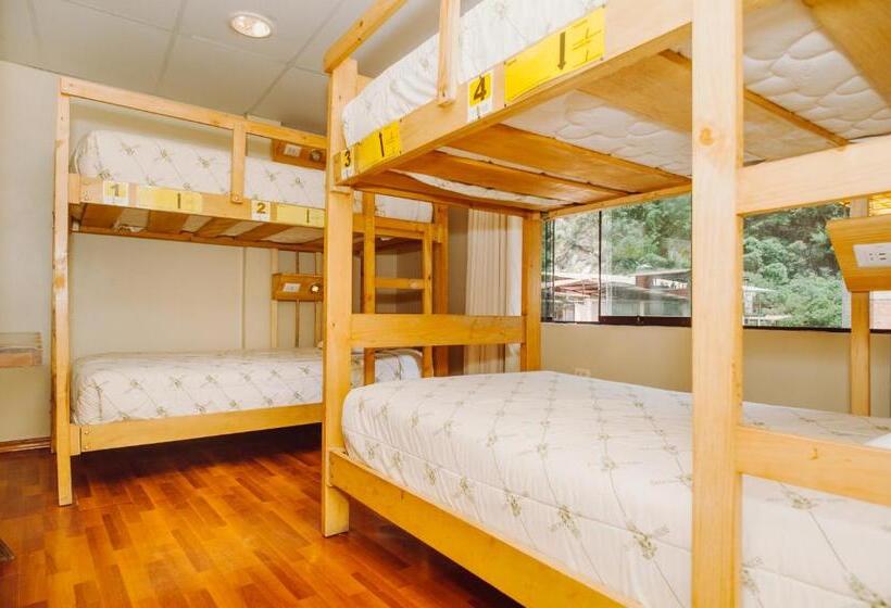 ルームシェアのワンベッド, Nativus Hostel Machu Picchu