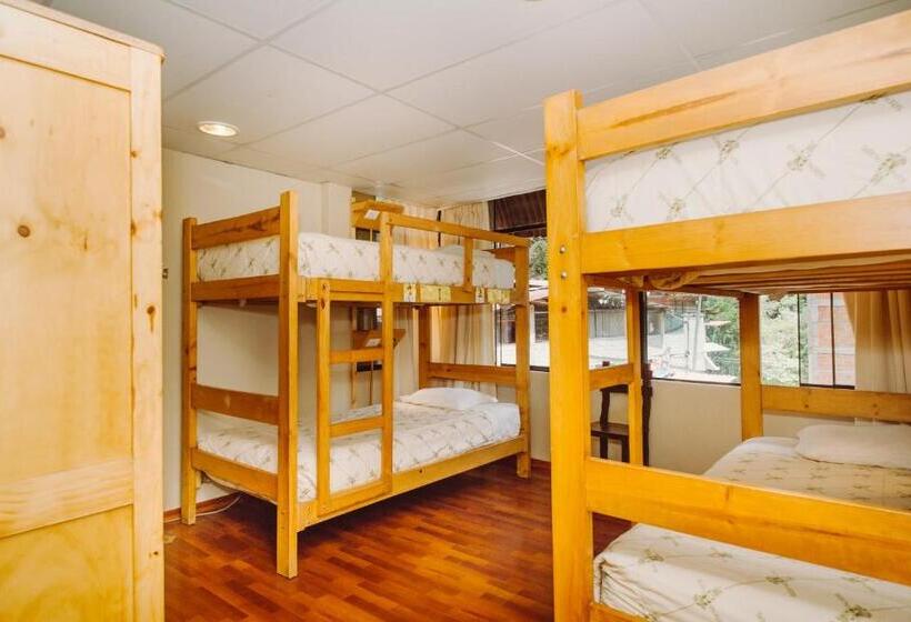 ルームシェアのワンベッド, Nativus Hostel Machu Picchu