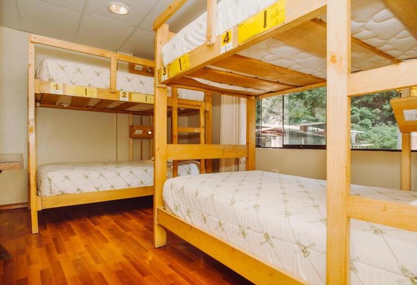 ルームシェアのワンベッド, Nativus Hostel Machu Picchu