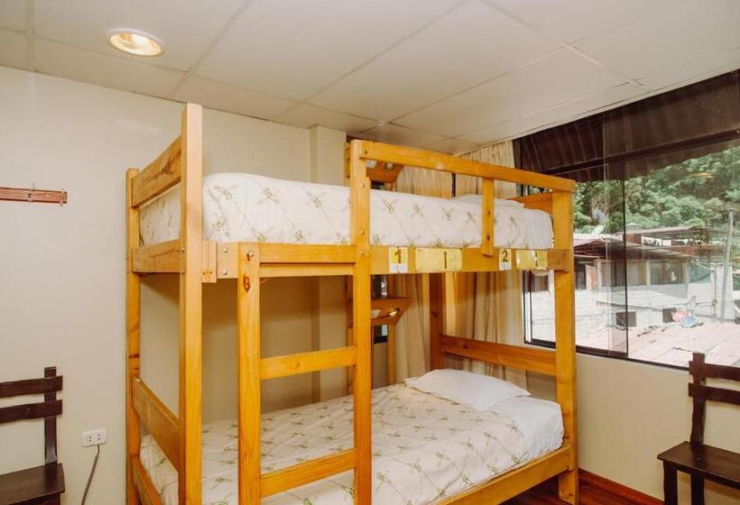 ルームシェアのワンベッド, Nativus Hostel Machu Picchu