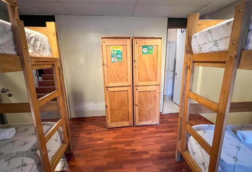 ルームシェアのワンベッド, Nativus Hostel Machu Picchu