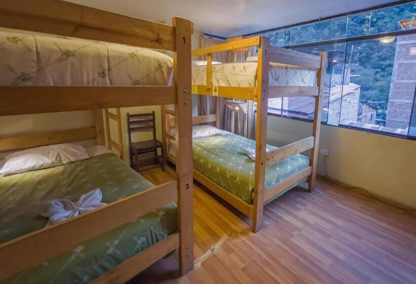 ルームシェアのワンベッド, Nativus Hostel Machu Picchu