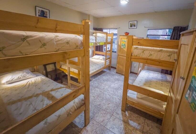 ルームシェアのワンベッド, Nativus Hostel Machu Picchu