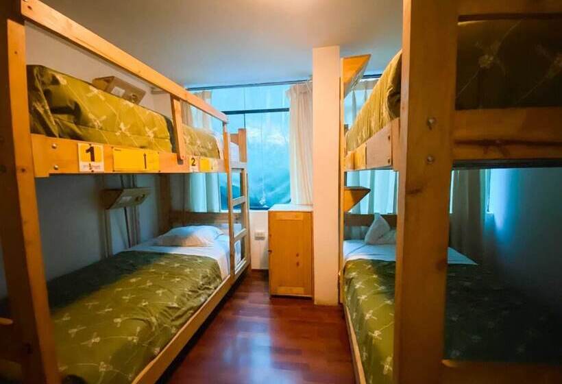ルームシェアのワンベッド, Nativus Hostel Machu Picchu