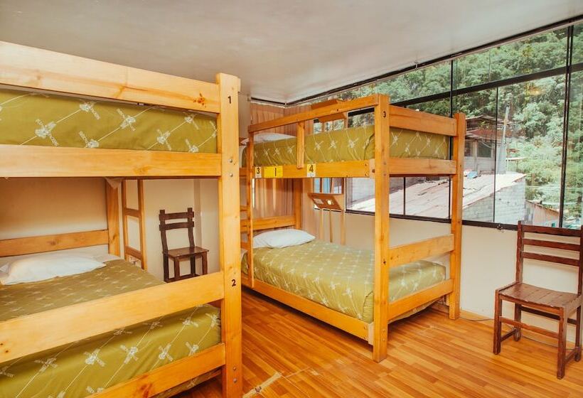 ルームシェアのワンベッド, Nativus Hostel Machu Picchu