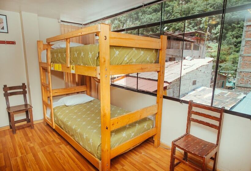 ルームシェアのワンベッド, Nativus Hostel Machu Picchu