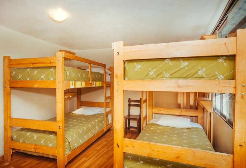ルームシェアのワンベッド, Nativus Hostel Machu Picchu