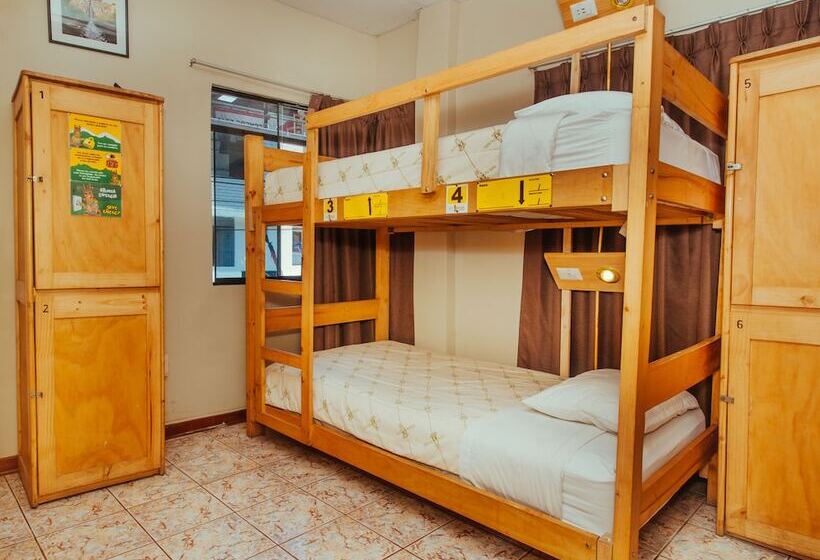 ルームシェアのワンベッド, Nativus Hostel Machu Picchu