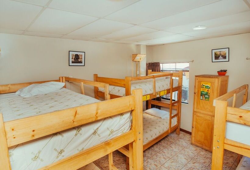 ルームシェアのワンベッド, Nativus Hostel Machu Picchu