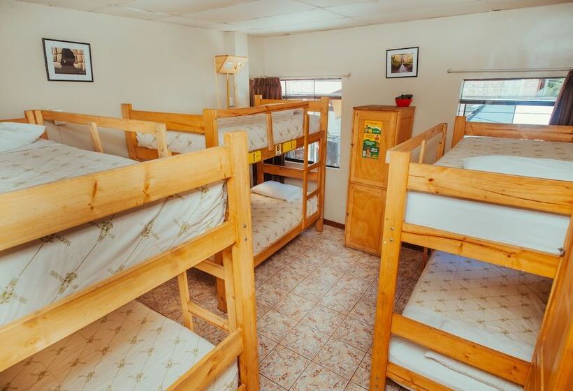 ルームシェアのワンベッド, Nativus Hostel Machu Picchu