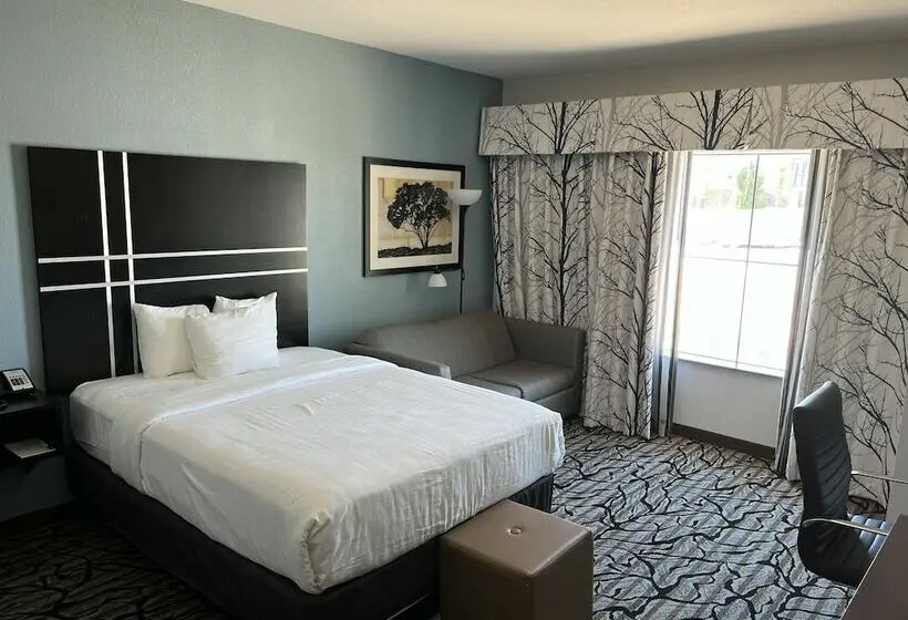 障害者適応デラックスルーム, La Quinta Inn & Suites By Wyndham Lubbock Southwest
