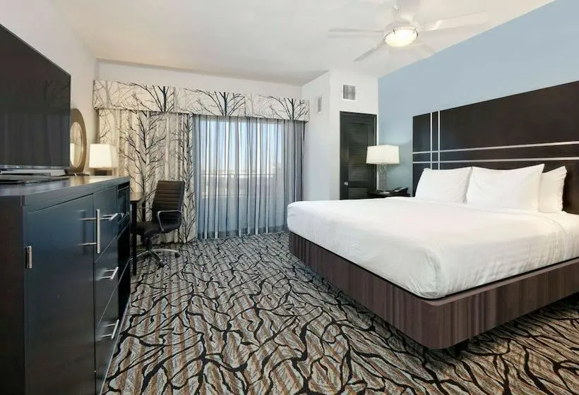 障害者適応デラックスルーム, La Quinta Inn & Suites By Wyndham Lubbock Southwest