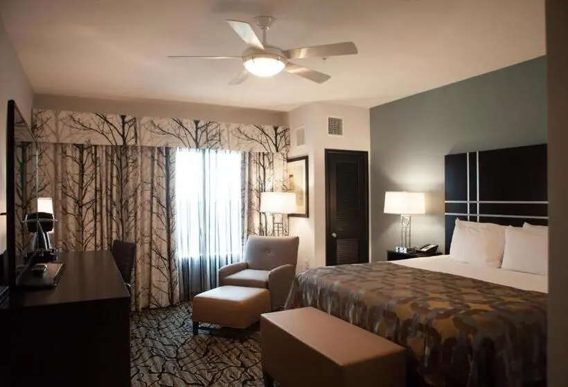 キングサイズベッドのスタンダードルーム, La Quinta Inn & Suites By Wyndham Lubbock Southwest