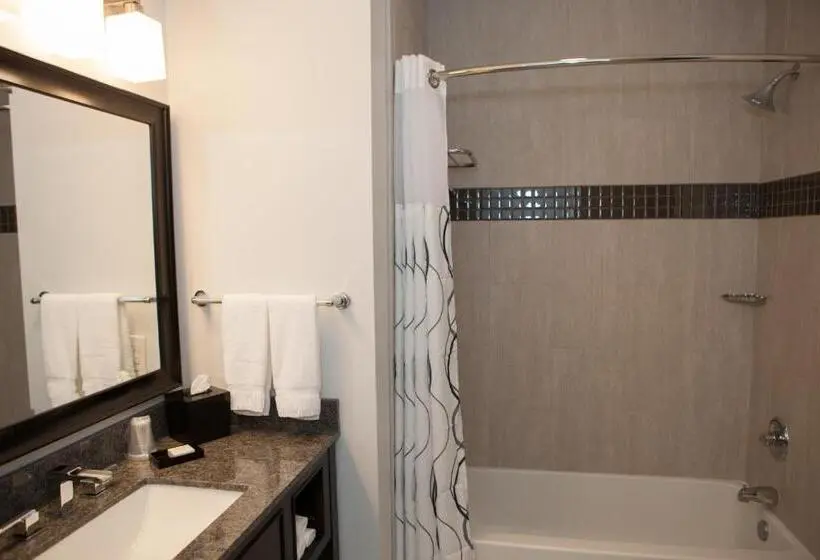スタンダードルーム, La Quinta Inn & Suites By Wyndham Lubbock Southwest