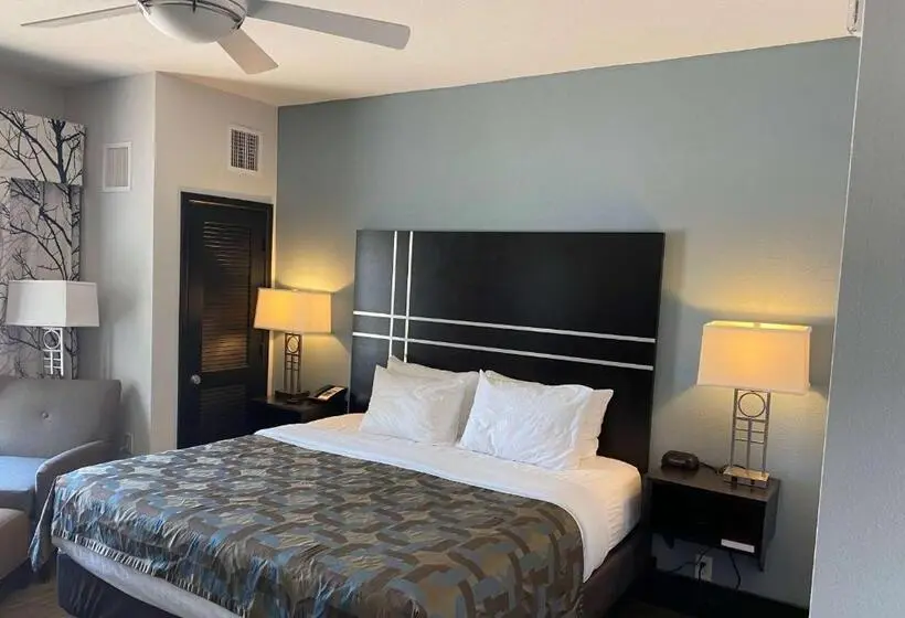 身障者適用キングサイズベッドルーム, La Quinta Inn & Suites By Wyndham Lubbock Southwest