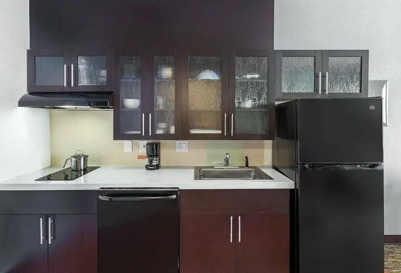 スタンダードスタジオ, Candlewood Suites Houston   Spring, An Ihg