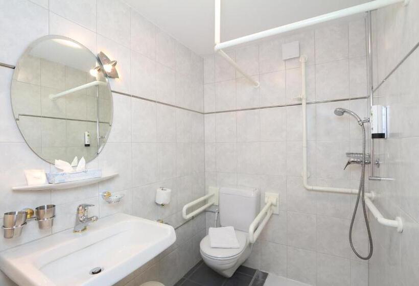 이코노미 싱글 룸, Lifestyle & Spa Hotel Grächerhof