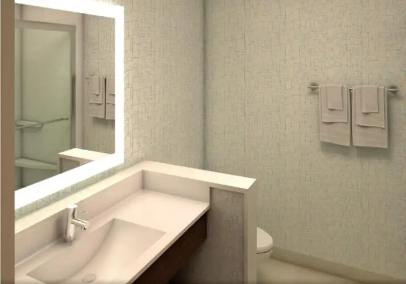 身障者適用キングサイズベッドルーム, Holiday Inn Express   Fort Walton Beach Central, An Ihg