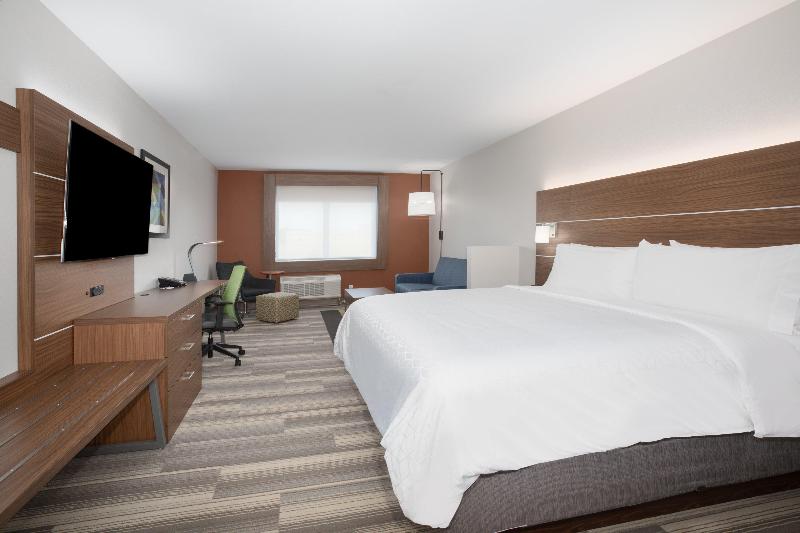 キングサイズベッドのスイートルーム, Holiday Inn Express & Suites Sioux City North   Event Center, An Ihg