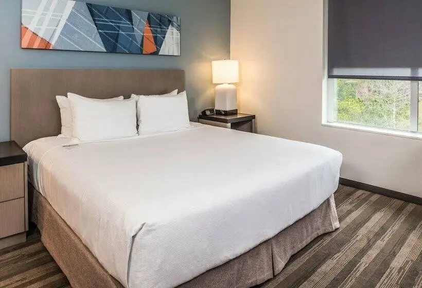 キングサイズベッドのスイートルーム, Hyatt House Raleigh/rdu/brier Creek