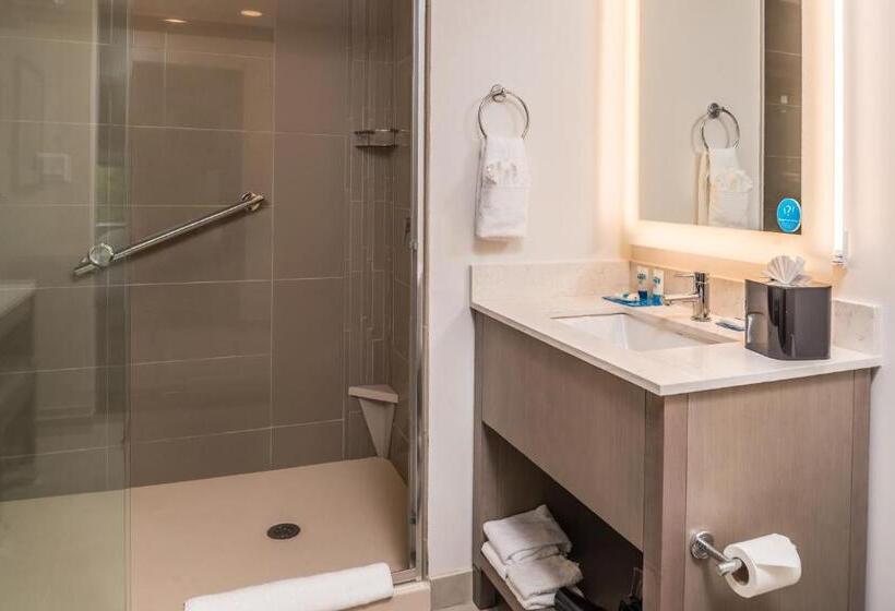 스탠다드 스튜디오 킹침대, Hyatt House Raleigh/rdu/brier Creek