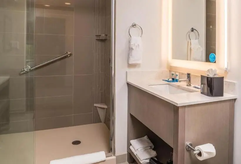 キングサイドベッドのスタンダードワンルーム, Hyatt House Raleigh/rdu/brier Creek