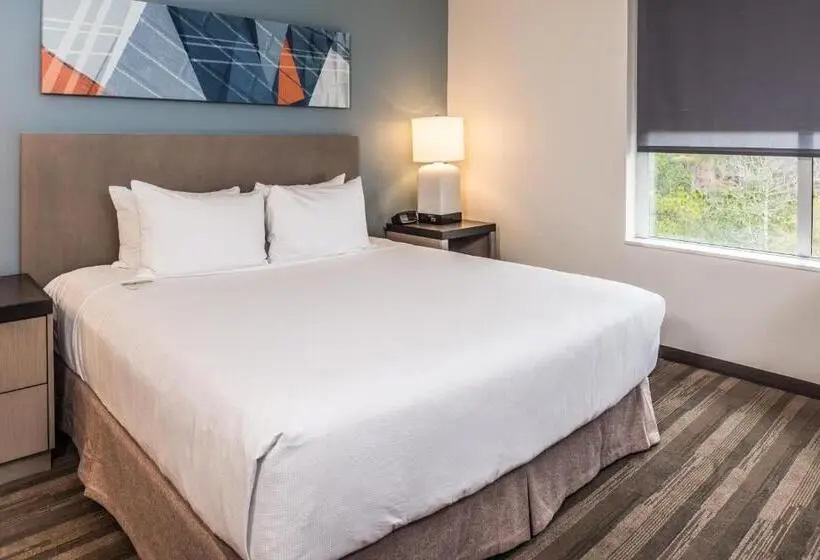 キングサイドベッドのスタンダードワンルーム, Hyatt House Raleigh/rdu/brier Creek