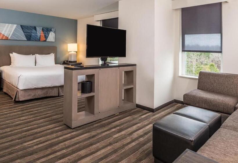 带大床的标准工作室, Hyatt House Raleigh/rdu/brier Creek