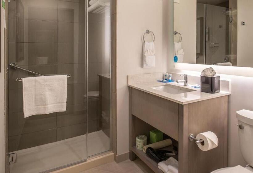 带大床的标准工作室, Hyatt House Raleigh/rdu/brier Creek