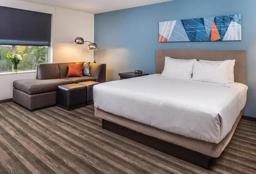 キングサイズベッドのスタンダードルーム, Hyatt House Raleigh/rdu/brier Creek