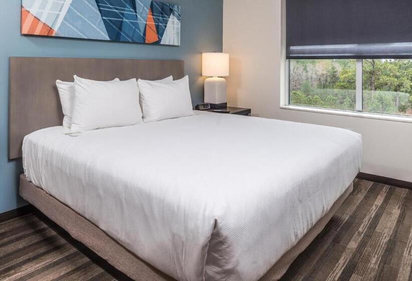 带大床的标准间, Hyatt House Raleigh/rdu/brier Creek
