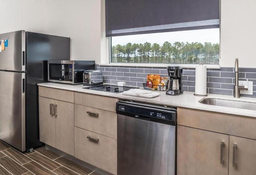 带大床的套房, Hyatt House Raleigh/rdu/brier Creek