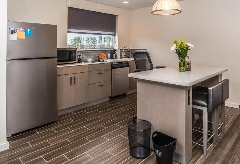 스위트, Hyatt House Raleigh/rdu/brier Creek