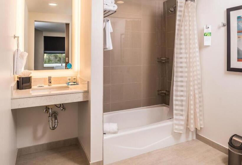 스위트, Hyatt House Raleigh/rdu/brier Creek