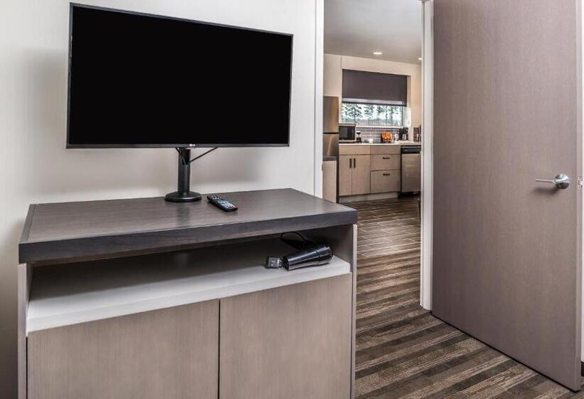 带特大床的标准间, Hyatt House Raleigh/rdu/brier Creek