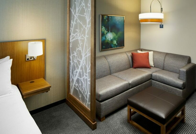 غرفة قياسية, Hyatt Place Sumter/downtown