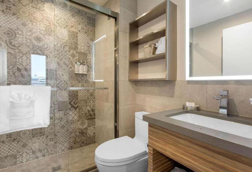 Стандартный Номер Кровать Кинг, Insignia Hotel Brooklyn, Ascend Hotel Collection