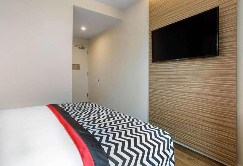 Номер Стандарт, Insignia Hotel Brooklyn, Ascend Hotel Collection