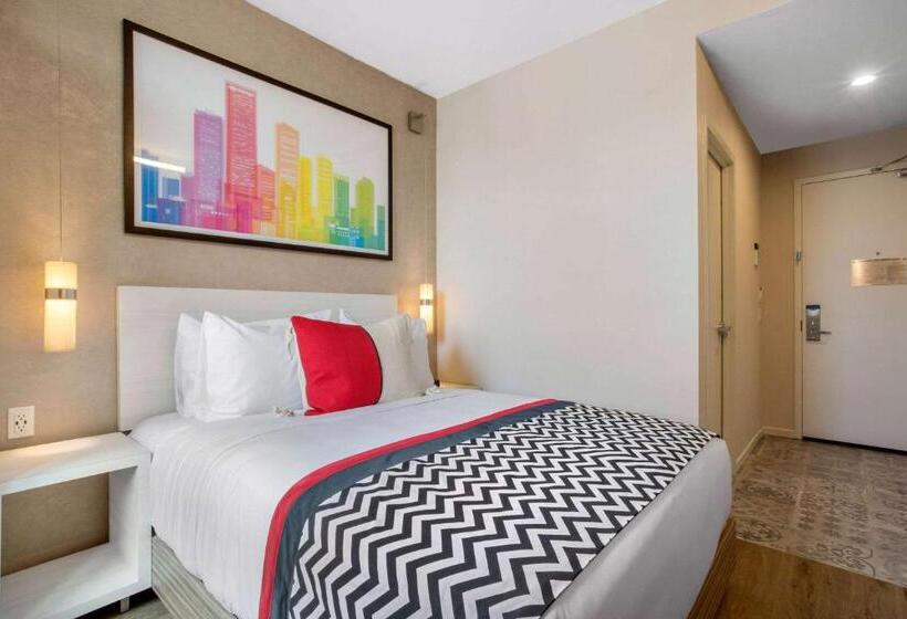 Номер Стандарт, Insignia Hotel Brooklyn, Ascend Hotel Collection