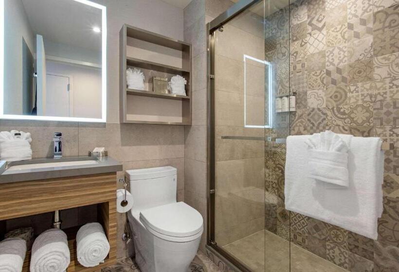 Номер Стандарт Адаптированный для Инвалидов, Insignia Hotel Brooklyn, Ascend Hotel Collection