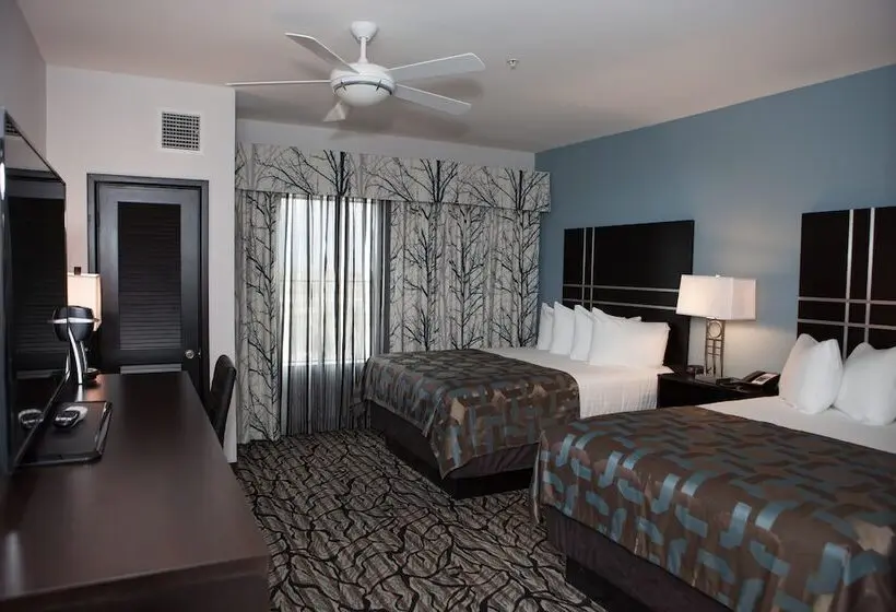 身障者適用スイートルーム, La Quinta Inn & Suites By Wyndham Lubbock Southwest