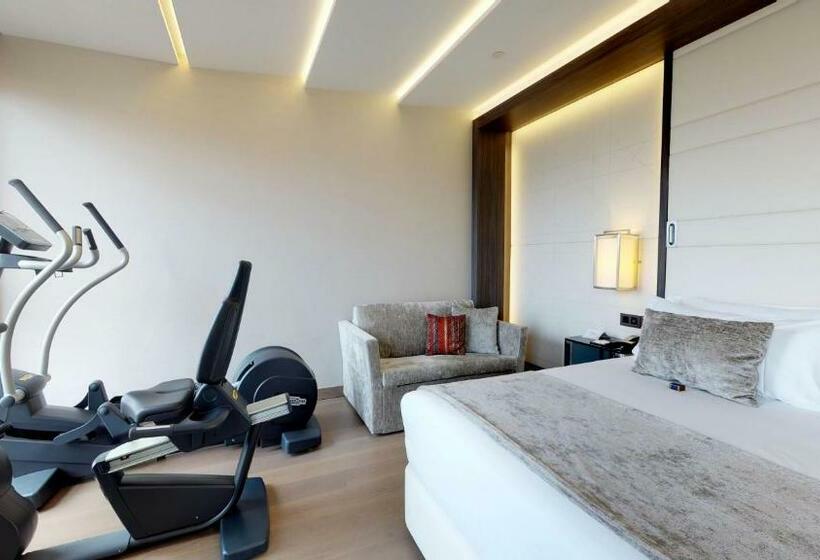 수피리어 룸, Vp Plaza Espana Design