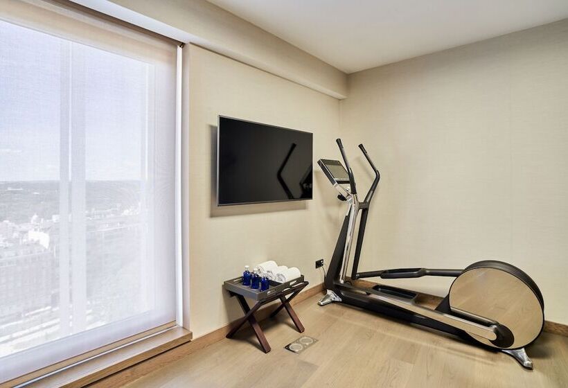 프레지덴셜 스위트, Vp Plaza Espana Design