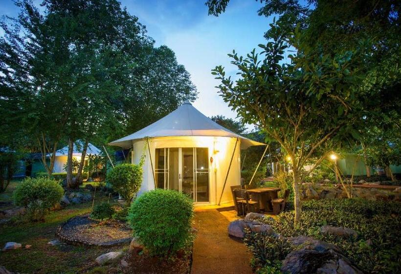 Standard Tent, Goldengold  Resort & Spa