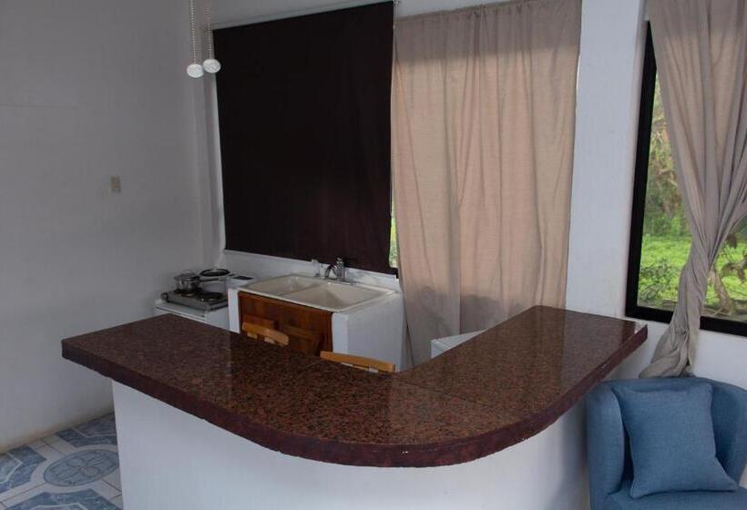 اتاق استاندارد با چشمانداز استخر, Hostería El Paraíso