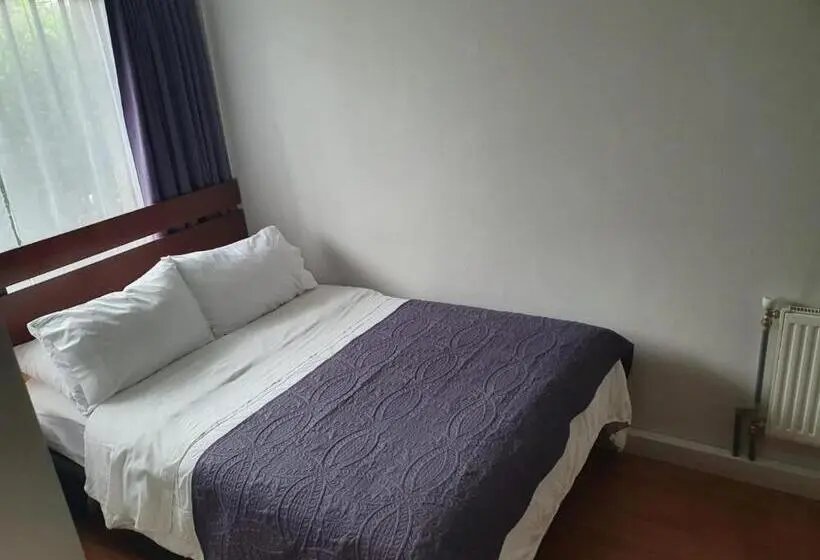 スタンダードシングルルーム, Hostal Del Rio