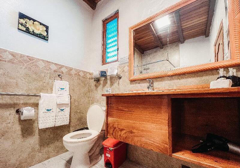 اتاق سوپریور, Isamar